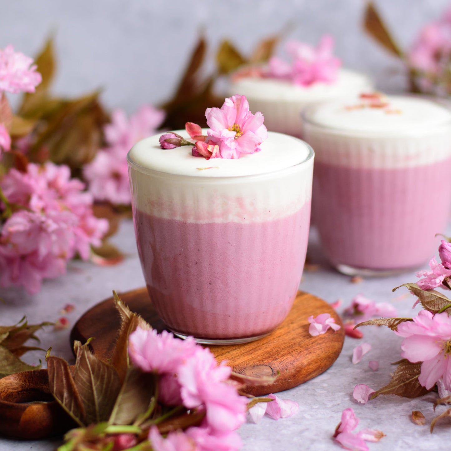 Sakura Powder 1000g