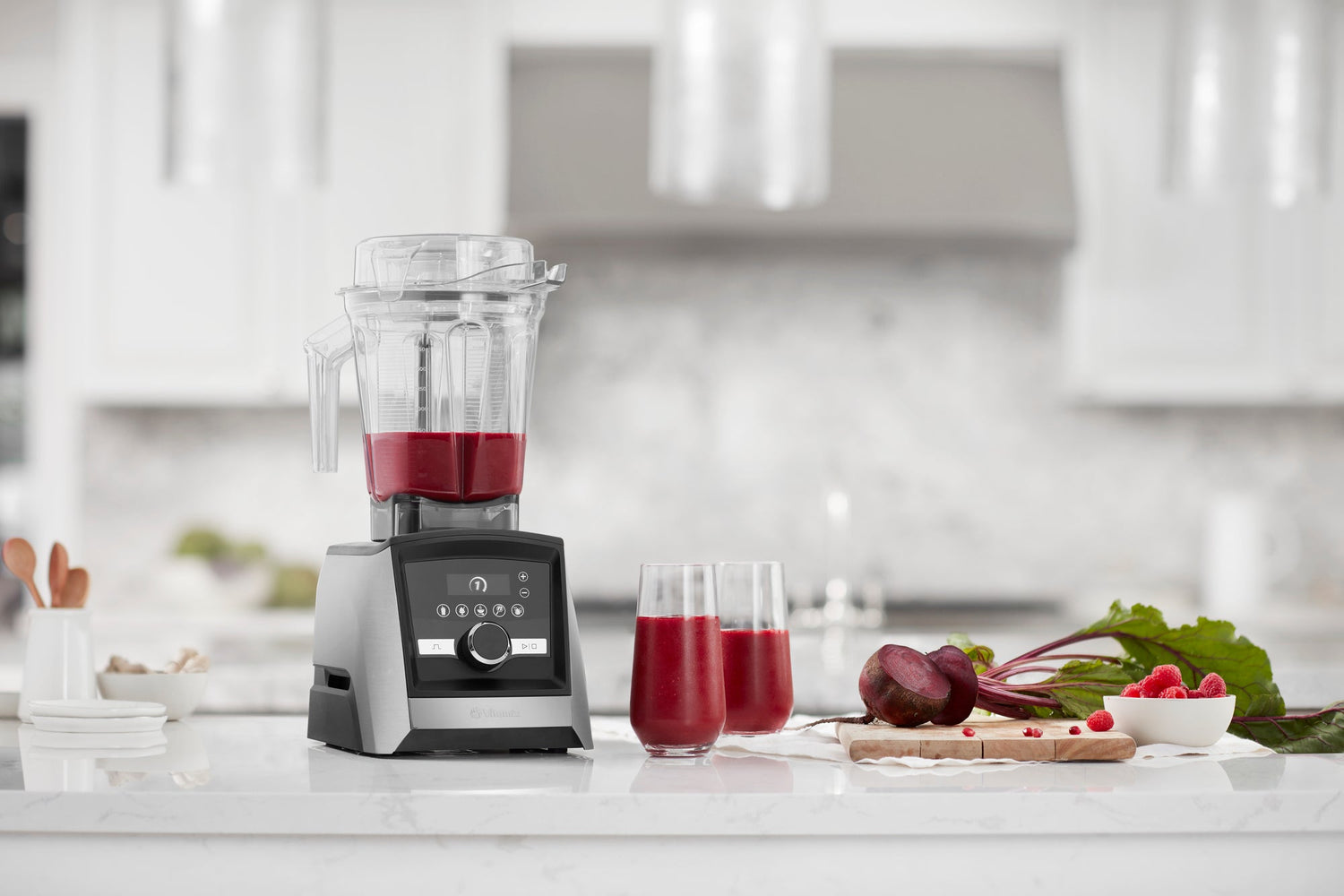 Vitamix Blenders